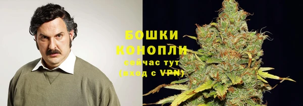 стаф Горнозаводск