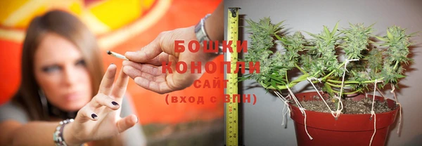 стаф Горнозаводск