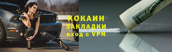 гидра Горно-Алтайск