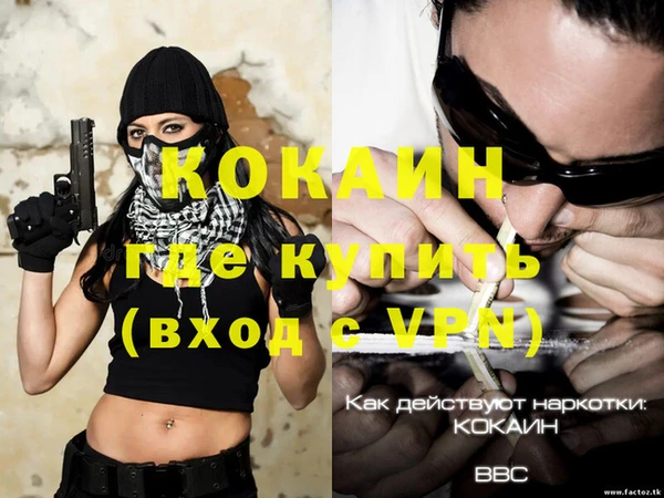 гидра Горно-Алтайск