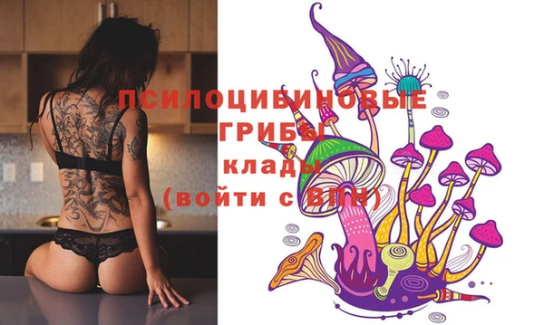 стаф Горнозаводск