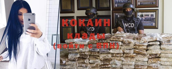 гидра Горно-Алтайск