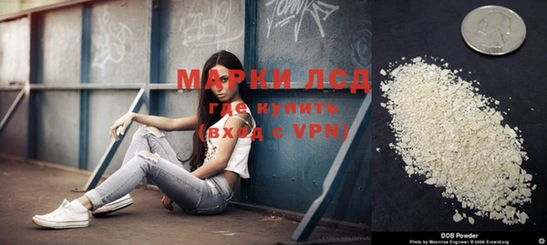 стаф Горнозаводск