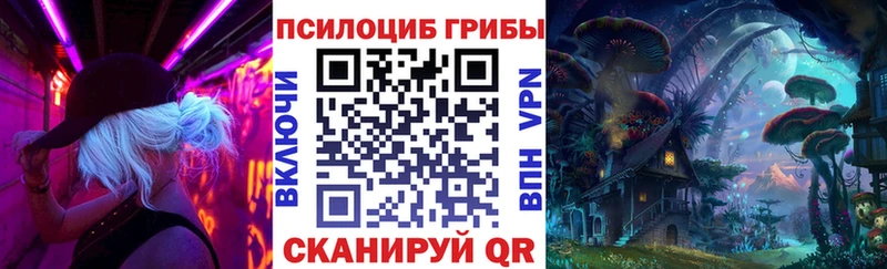 Купить где  Тарко-Сале  Галлюциногенные грибы Psilocybe 